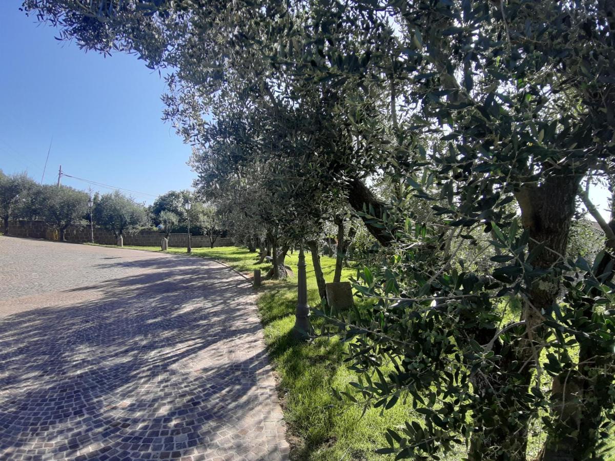 B&B Le Bacette Caprarola Εξωτερικό φωτογραφία